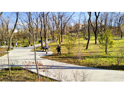 новый парк Владивостока осенью с голубым небом