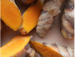 Куркума длинная (Curcuma longa) корень, 5 мл - СО2 Экстракт