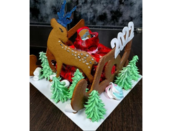 МЕШОК МОРОЗА