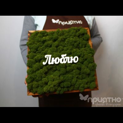 ЖИВАЯ ЭКО-КАРТИНА 1063