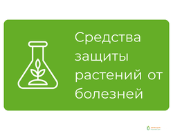 Пестициды, бактерициды и фунгициды