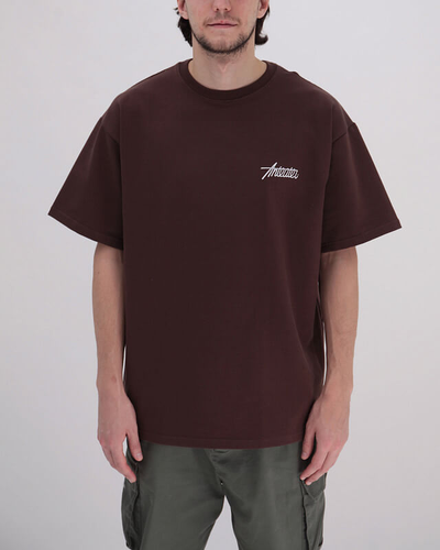Футболка Оверсайз Anteater Phat Tee 479 Коричневая