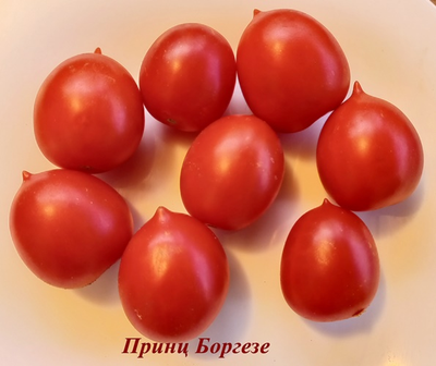 Томат Принц Боргезе (Principe Borghese, Италия)