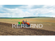 Картофелесажалка Кerland Керланд CT-2 (62,5-67,5 см)
