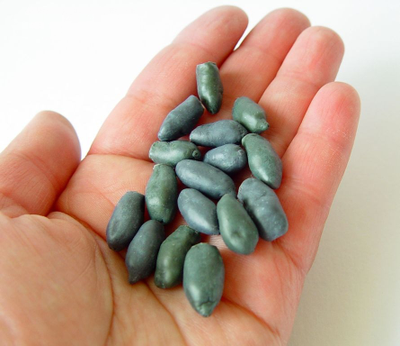 Набор молдов "Облепиха+Барбарис+Жимолость"