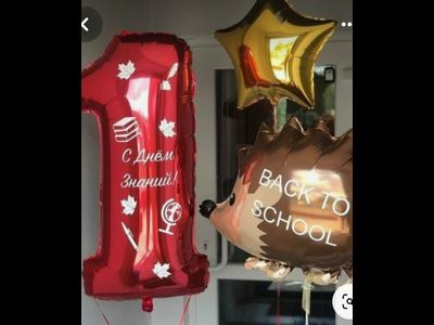 День знаний № 9