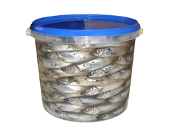 ***Килька пряного посола 2,5кг (ведро)***