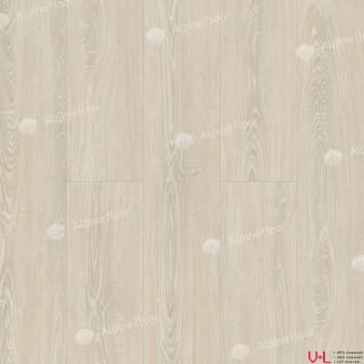 Кварцвиниловая плитка Alpine Floor Easy Line Дуб Снежный ЕСО 3-14 купить на vinyl-laminat.ru