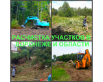 Наши работы по расчистке территории включают: Вырубку ненужных владельцу деревьев и кустарников