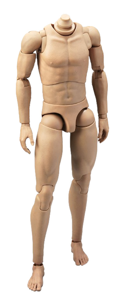 Тело без шеи с кистями и стопами - Male body (AL100046) - Alert Line