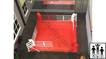 боксерский ринг цена