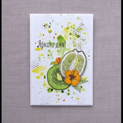 ФП штамп &quot;Киви&quot;