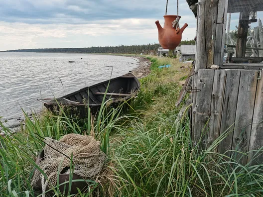 Тоня Тетрина