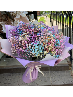 Букет из 15 разноцветных веток гипсофилы