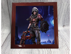 Шкатулка Borderlands, Бордерленд №9