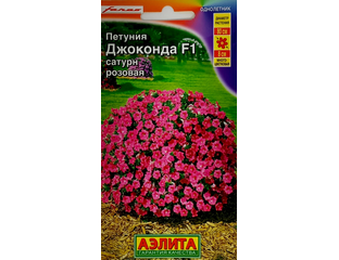 Петуния джоконда алая f1. Петуния джоконда f1 отзывы фото куста. Петуния джоконда объем кашпо. Петуния джоконда семена. Петуния джоконда многоцветковая.