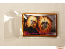 Акриловые Магниты Зоопарк