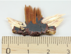 Редкость! Рутил свободного роста, сростки "звезды" золотистых игольчатых кристаллов на кристаллах гематита, Бразилия (31*23*4 мм, 2,8 г) №37921