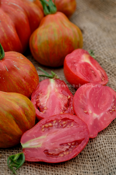 Томат Borsa di Montone (Баранья сумка), 10 шт.