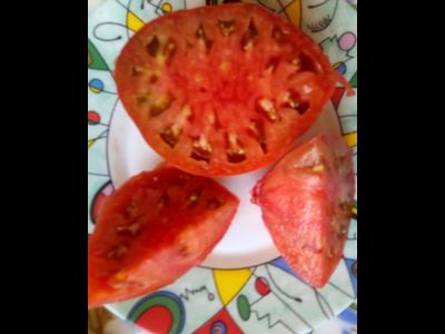 Томат Пурпурное сердце Рейнхарда (Reinhard's Purple Heart, Германия)