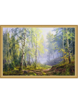 картина в раме 60 х 100 см С. Басов - Утро в берёзовом лесу