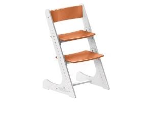 Растущий регулируемый стул Конёк Горбунёк Двухцветный