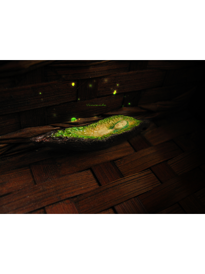 Дух живого леса. Кулон из полимерной глины. Талисман в виде дриады - духа леса