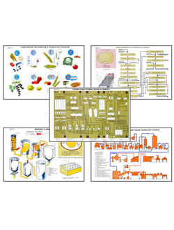 Плакаты ПРОФТЕХ "Сырье и материалы хлебопекарного производства" (20 пл, винил, 70х100)