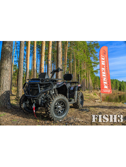 Квадроцикл IRBIS TA-F300 EFI