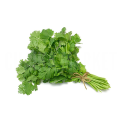 Петрушка пучок