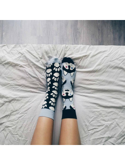 Носочки Sammy Icon Balto