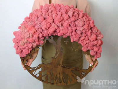 ЖИВАЯ ЭКО-КАРТИНА 1020