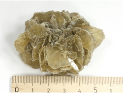 Гипс, "Гипсовая роза", крупный сросток кристаллов, Россия, Ставропольский край (59*49*24 мм, 50 г) №29339