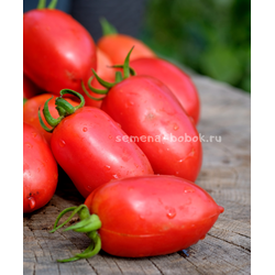 Томат Incas (Инки), 10 шт