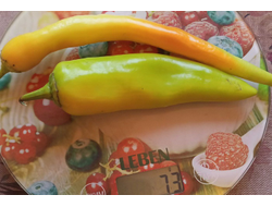 Перец острый Бочковой