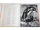 Пухальский В. Птицы дальних стран. Варшава: Спорт и туризм. б.г.