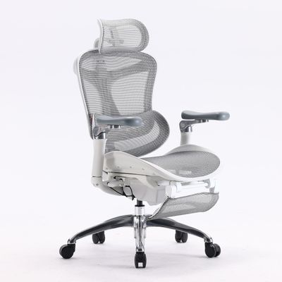 Ортопедическое кресло SIHOO Doro C300 Pro | серо-белое