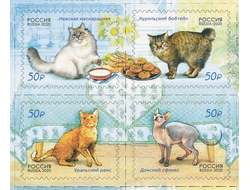 Почтовая марка: Фауна России. Кошки
