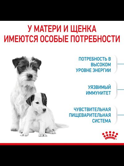 Royal Canin (Роял Канин) Mini Starter Сухой корм для щенков мелких пород до 2 мес, 1 кг