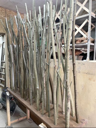 перегородка из стволов дерева