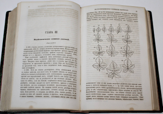 Спенсер Г. Основания биологии. В 2-х томах. СПб.: Изд. Н.П.Полякова, 1870.