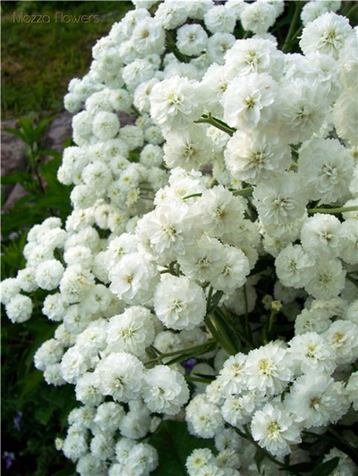 "Снежок" Силиконовый молд