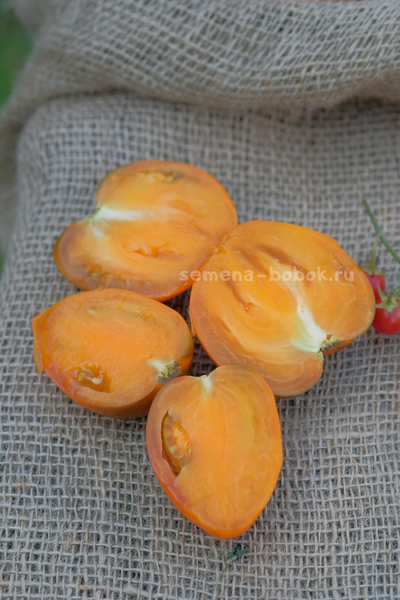 Томат Severe Melon (Суровая Дыня немцев Поволжья), 10 шт