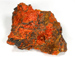 Крокоит, кристаллы на породе, Австралия, Тасмания (67*50*41 мм, 126 г) №28595