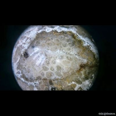 Коралл замещенный кварцем, шар. Около 100мм.