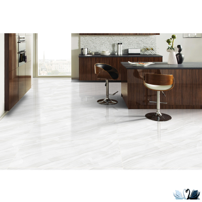 Керамогранит Staro Palacio Stelia Light Grey 60х120 см глянцевый