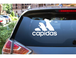 Наклейка виниловая Капибара, Kapibara-san №17