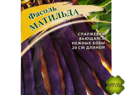 ФАСОЛЬ СПАРЖЕВАЯ "МАТИЛЬДА"