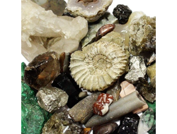 Образцы минералов в ассортименте