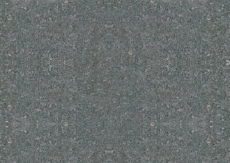 S117